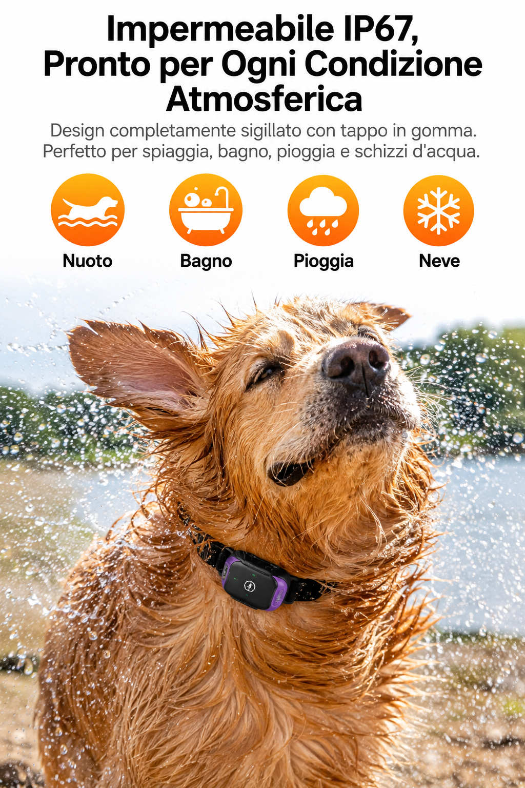 Collare GPS per tracciamento/ Recinzione GPS Wireless , Collare  IP67 con Avviso di Sicurezza a Vibrazione e Stimolazione Statica, , Senza Fili per Esterni
